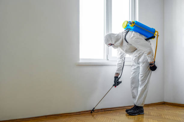 Best Commercial Pest Control  in USA